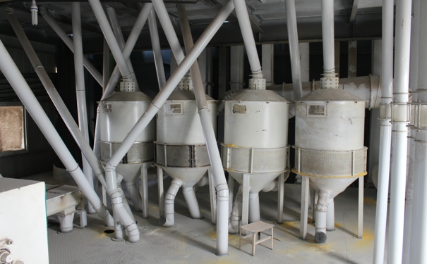 玉米深水蜜桃在线播放 玉米深水蜜桃在线播放